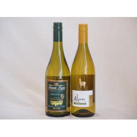 ALLシャルドネチリワイン2本セット(フエンテ フルータ サンタ・ヘレナ アルパカ) 750ml×2