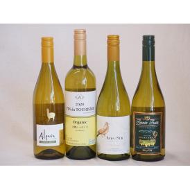 ALLシャルドネチリワイン4本セット(フエンテ フルータ サンタ・ヘレナ アルパカ ビーニャ・デル・