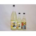 本格酎ハイの素3本セット(サワー専用 爆レモン サワー専用 ゆずレモン) 600ml×2本 1800