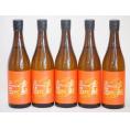 年一度の限定日本酒 金鯱5本セット(夢吟香100%完熟ひやおろし本醸造) 720ml×5本