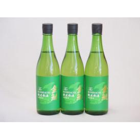 年一度の限定日本酒 金鯱3本セット(国産米100%新米新酒生貯蔵) 720ml×3本