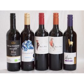 スペイン×チリ赤ワイン デルスールカベルネ(チリ) デルスールカルメネール(チリ) アルパカカルメネ