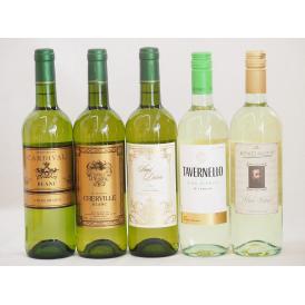 フランス×イタリア白ワイン5本セット(ミケランジャロ ビアンコ(イタリア) サンディヴァン ブラン(
