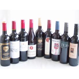 フランス×イタリア赤ワイン9本セット(ミケランジャロ ロッソ(イタリア) 750ml×9本