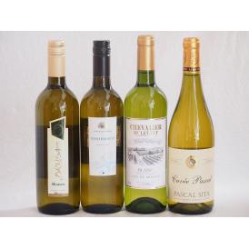 フランス×イタリア白ワイン4本セット(ブルーサ ビアンコ(イタリア) コルテ デル ニッピオ ビアン