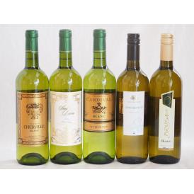 フランス×イタリア白ワイン5本セット(ブルーサ ビアンコ(イタリア) コルテ デル ニッピオ ビアン