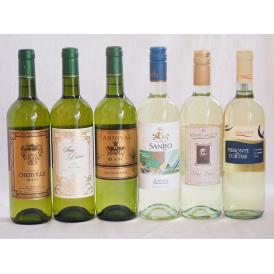 フランス×イタリア白ワイン6本セット(ミケランジャロ ビアンコ(イタリア) サンディヴァン ブラン(
