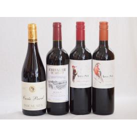 フランス×チリ赤ワイン4本セット(デルスールカベルネ(チリ) デルスールカルメネール(チリ) シュバ