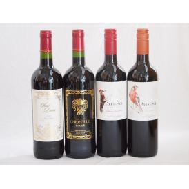 フランス×チリ赤ワイン4本セット(デルスールカベルネ(チリ) デルスールカルメネール(チリ) シャル