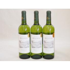 金賞白ワイン特集3本セット(シャトー　ブロイル) 750ml×3本