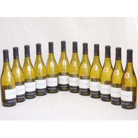 金賞白ワイン特集12本セット(レザンジュ) 750ml×12本