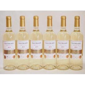 4冠金賞白ワイン特集6本セット(ラ　シガール　キュベ　ラビット　ソーヴィニョン ブラン) 750ml