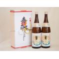 地鎮祭用奉献酒 兵庫県日本酒2本セット(本田酒造 龍力特別本醸造1800ml×2本)デザイン書道家 榮田清峰作一デザイン3番(金銀水引・文化タイプ）