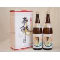 地鎮祭用奉献酒 兵庫県日本酒2本セット(本田酒造 龍力特別本醸造1800ml×2本)デザイン書道家 榮田清峰作一デザイン1番(金銀水引・文化タイプ）