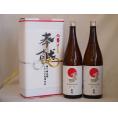 地鎮祭用奉献酒 愛知県日本酒2本セット(金鯱酒造 極旨清酒1800ml×2本)デザイン書道家 榮田清峰作一デザイン1番(金銀水引・文化タイプ）