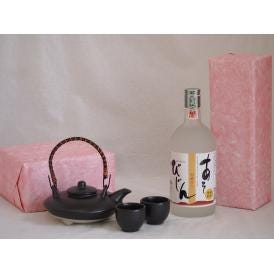 国産美濃焼 黒千代香2合セット2客ツル付(450g)瑞鷹 純米焼酎 あそびじん (熊本県) 720m
