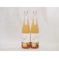 2本セット(金鯱山田錦吟醸ブレンド グレープフルーツ酒(愛知県)) 500ml×2本