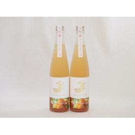2本セット(金鯱山田錦吟醸ブレンド グレープフルーツ酒(愛知県)) 500ml×2本