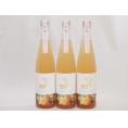 3本セット(金鯱山田錦吟醸ブレンド グレープフルーツ酒(愛知県)) 500ml×3本