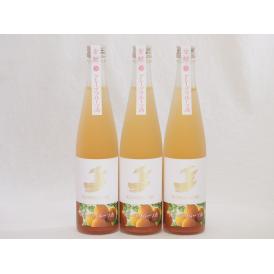3本セット(金鯱山田錦吟醸ブレンド グレープフルーツ酒(愛知県)) 500ml×3本