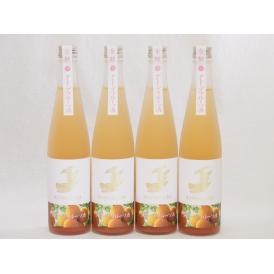 4本セット(金鯱山田錦吟醸ブレンド グレープフルーツ酒(愛知県)) 500ml×4本