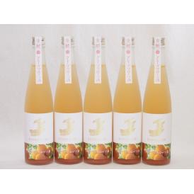 5本セット(金鯱山田錦吟醸ブレンド グレープフルーツ酒(愛知県)) 500ml×5本