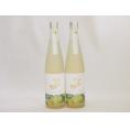 2本セット(金鯱日本酒ブレンド 知多半島のベルガモットオレンジ酒(愛知県)) 500ml×2本
