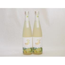 2本セット(金鯱日本酒ブレンド 知多半島のベルガモットオレンジ酒(愛知県)) 500ml×2本