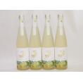 4本セット(金鯱日本酒ブレンド 知多半島のベルガモットオレンジ酒(愛知県)) 500ml×4本