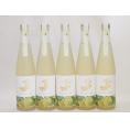 5本セット(金鯱日本酒ブレンド 知多半島のベルガモットオレンジ酒(愛知県)) 500ml×5本