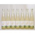7本セット(金鯱日本酒ブレンド 知多半島のベルガモットオレンジ酒(愛知県)) 500ml×7本