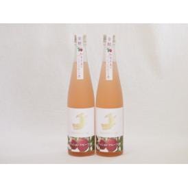 2本セット(金鯱日本酒ブレンド 知多半島のパッションフルーツ酒(愛知県)) 500ml×2本