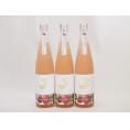 3本セット(金鯱日本酒ブレンド 知多半島のパッションフルーツ酒(愛知県)) 500ml×3本