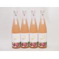 4本セット(金鯱日本酒ブレンド 知多半島のパッションフルーツ酒(愛知県)) 500ml×4本
