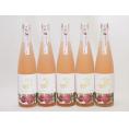 5本セット(金鯱日本酒ブレンド 知多半島のパッションフルーツ酒(愛知県)) 500ml×5本