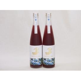 2本セット(金鯱焼酎ブレンド  知多半島のブルーベリー酒(愛知県)) 500ml×2本