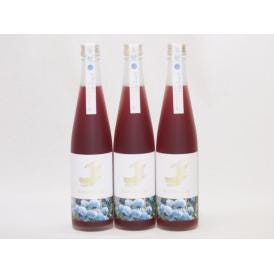 3本セット(金鯱焼酎ブレンド  知多半島のブルーベリー酒(愛知県)) 500ml×3本