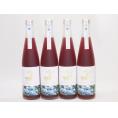 4本セット(金鯱焼酎ブレンド  知多半島のブルーベリー酒(愛知県)) 500ml×4本