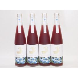4本セット(金鯱焼酎ブレンド  知多半島のブルーベリー酒(愛知県)) 500ml×4本