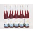 5本セット(金鯱焼酎ブレンド  知多半島のブルーベリー酒(愛知県)) 500ml×5本