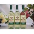 3本セット(イタリア白ワインbellosguardo VINO BLANCO) 750ml×3本