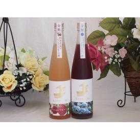 愛知果物キュール2本セット(日本酒ブレンドパッションフルーツ 焼酎ブレンドブルーベリー) 500ml