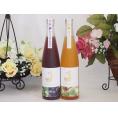 愛知果物キュール2本セット(純米酒ブレンド巨峰 純米吟醸酒仕込梅酒) 500ml×2本