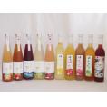 愛知×福島の果物リキュール10本セット(山田錦吟醸ブレンド グレープフルーツ酒 日本酒ブレンドベルガ