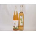 探し出した梅酒2本セット(純米吟醸酒仕込梅酒 生姜梅酒) 500ml×2本