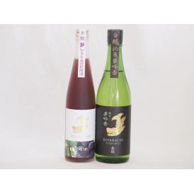 愛知県金鯱梅酒と日本酒2本セット(純米酒ブレンド巨峰 純米夢吟香) 500ml×1本 720ml×1