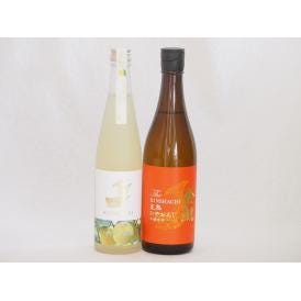 愛知県金鯱梅酒と日本酒2本セット(日本酒ブレンドベルガモットオレンジ 完熟ひやおろし本醸造) 500