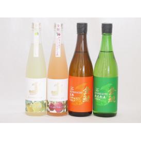 愛知県金鯱梅酒と日本酒4本セット(日本酒ブレンドベルガモットオレンジ 日本酒ブレンドパッションフルー