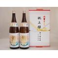 祝上棟式奉納 兵庫県産日本酒お酒2本セット(龍力 特別本醸造 1800ml×2本)(金銀水引・文化タイプ）