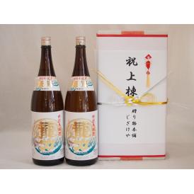 祝上棟式奉納 兵庫県産日本酒お酒2本セット(龍力 特別本醸造 1800ml×2本)(金銀水引・文化タイプ）